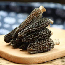 Factory Price   Mushroom Morel Dried Morel Mushrooms